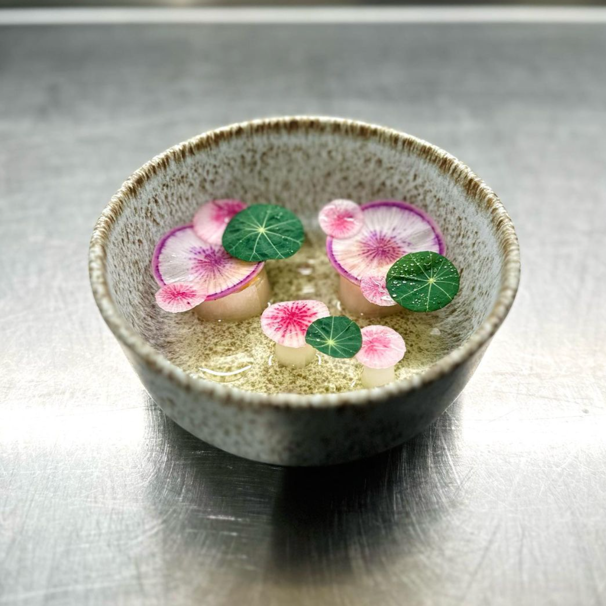 pontos x Restaurant Elmira Zürich