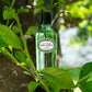 Ach. Brito Bergamota - Spray 
 Eau Cologne, 100 ml