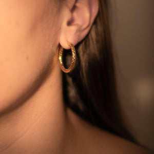 Creolen Coastal ☼